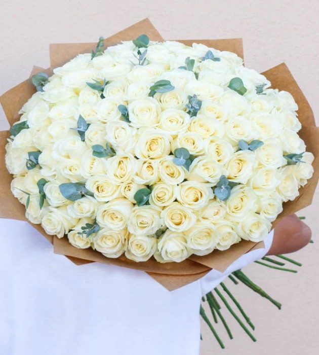 Snow White 100x ❤️