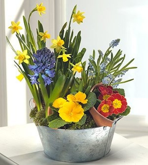 Dairy Day