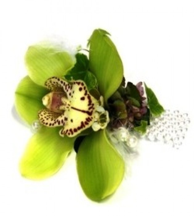 Green Cymbidium Corsage