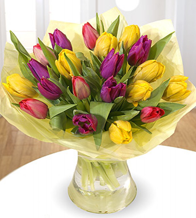 Top Mixed Tulips