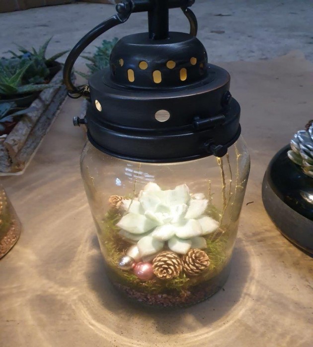 Succulent Lantern Arrangement 