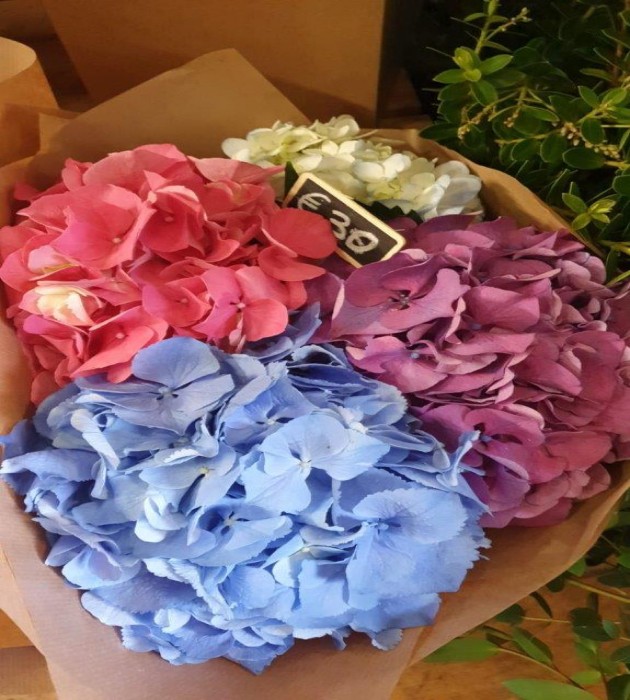 Mixed Hydragea Bouquet