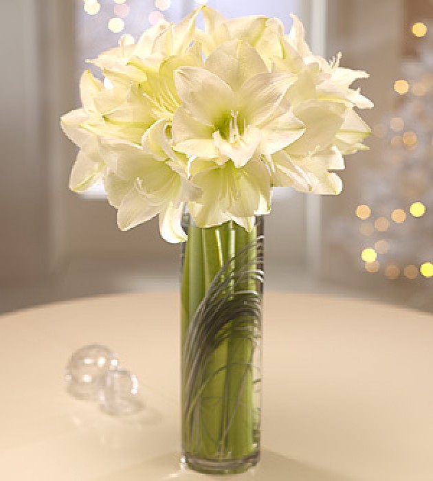 Winter White Elegance