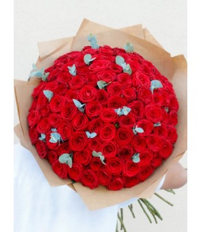 All Passion 100x ❤️