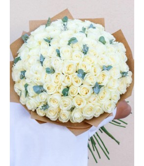 Snow White 100x ❤️