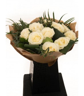 Snow White 12x ❤️