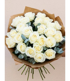 Snow White 24x ❤️