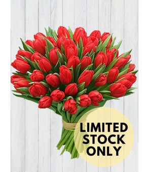 40 Red Tulips