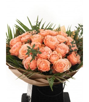  Cupid Pink 24x ❤️