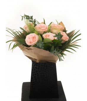 Cupid Pink 6x ❤️