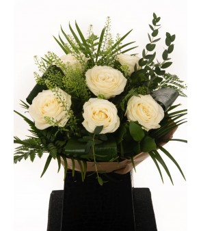 Snow White 6x ❤️