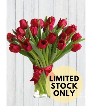20 Red Tulips